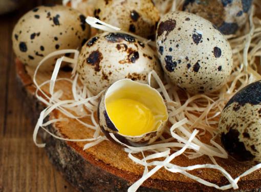 Muốn sống l&acirc;u, mỗi ng&agrave;y n&ecirc;n ăn 5-6 trứng c&uacute;t